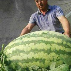 网络大瓜,揭秘娱乐圈幕后真相，带你走进明星隐私世界