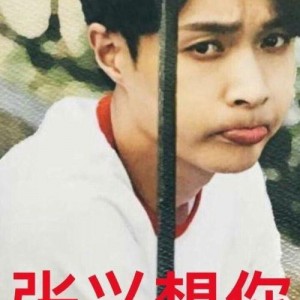 吃瓜的表情包 明星排名大全,表情包版明星排名大盘点